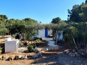 Villa Debora Favignana (TP) Favignana